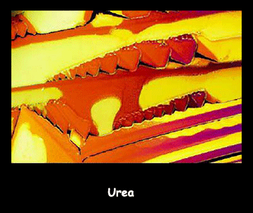 Urea